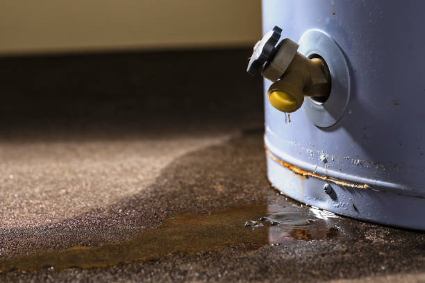 Best Ceiling water damage repair  in Millbrook, NY