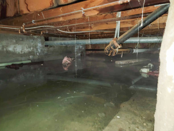 Best Emergency water damage restoration  in Millbrook, NY