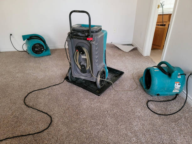 Best Flooded house restoration  in Millbrook, NY