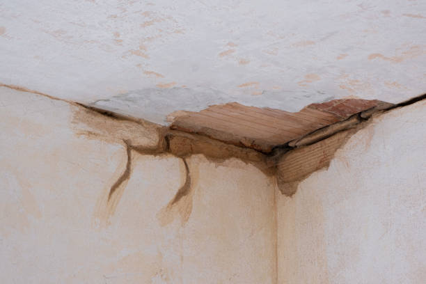 Best Commercial water damage restoration  in Millbrook, NY