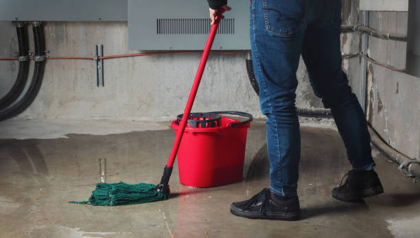 Best Local water damage restoration  in Millbrook, NY