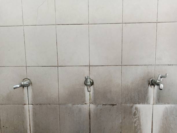 Best Basement water damage restoration  in Millbrook, NY