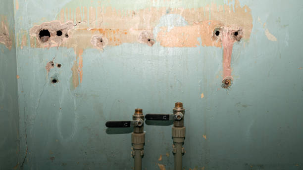 Best Water damage restoration near me  in Millbrook, NY