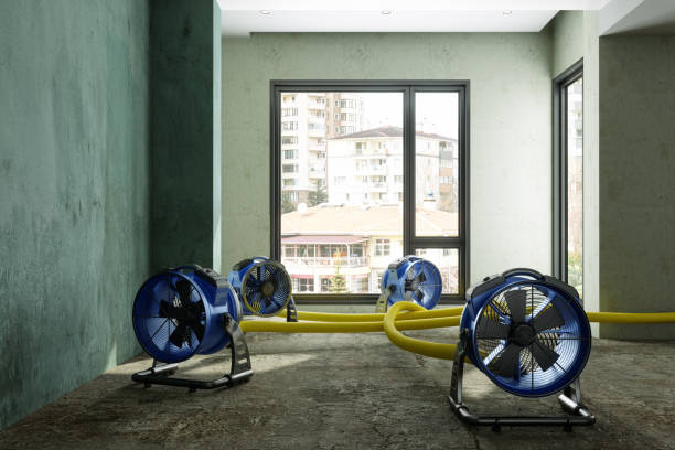 Best Emergency water damage restoration  in Millbrook, NY