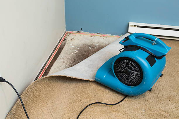 Best Flood damage cleanup  in Millbrook, NY
