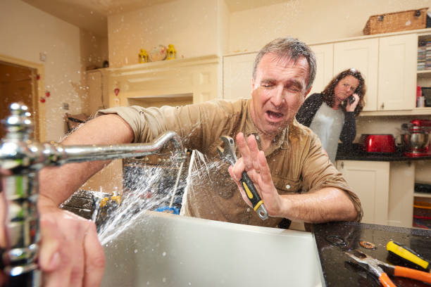Best Professional water damage repair  in Millbrook, NY